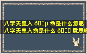 八字天皇入 🐵 命是什么意思「八字天皇入命是什么 🕊 意思呀」